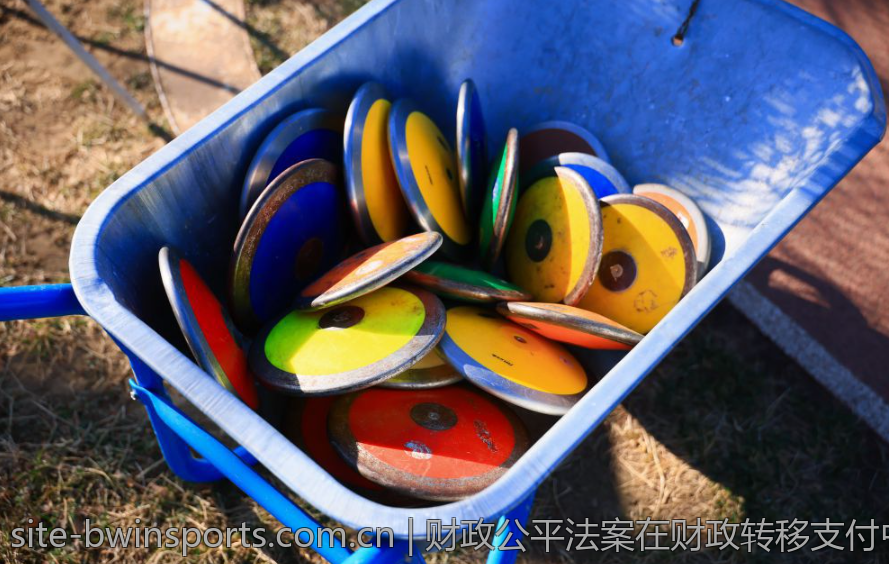 财政公平法案在财政转移支付中的应用研究