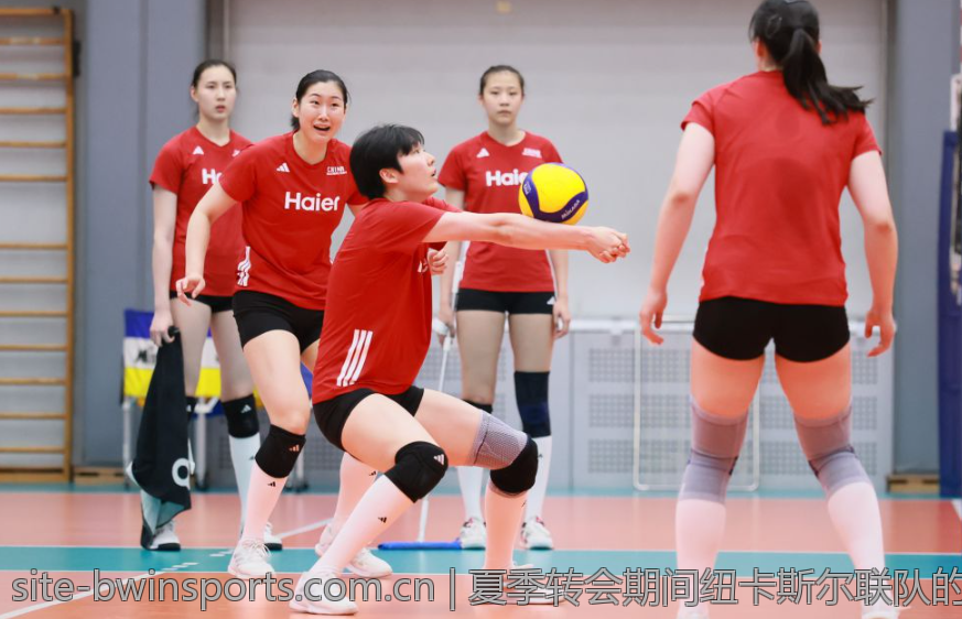 夏季转会期间纽卡斯尔联队的重磅签约亮点