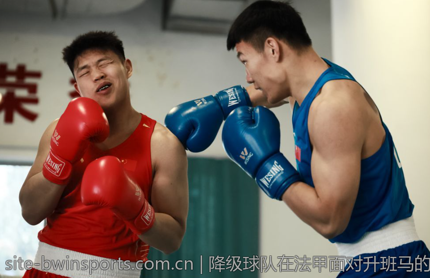 降级球队在法甲面对升班马的比赛策略探讨